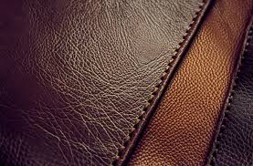 Belt Image